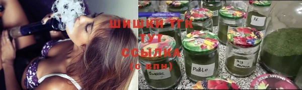 эйфоретик Елизово