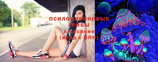 прущая мука Ельня