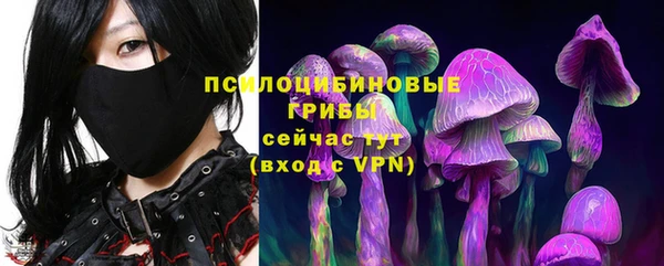 эйфоретик Елизово
