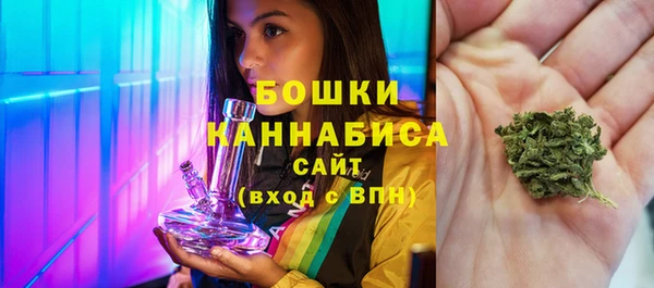 прущая мука Ельня