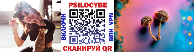 Галлюциногенные грибы Psilocybe  Купить закладки  Троицк 