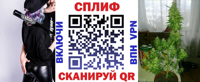 Купить где  Троицк  Шишки марихуана MAZAR 